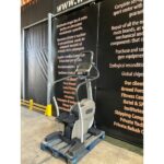 STEP 700 LED - EXCITE TECHNOGYM - AS IS
